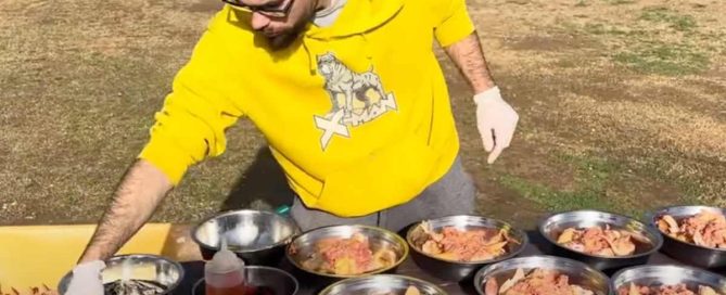 piensos para perros