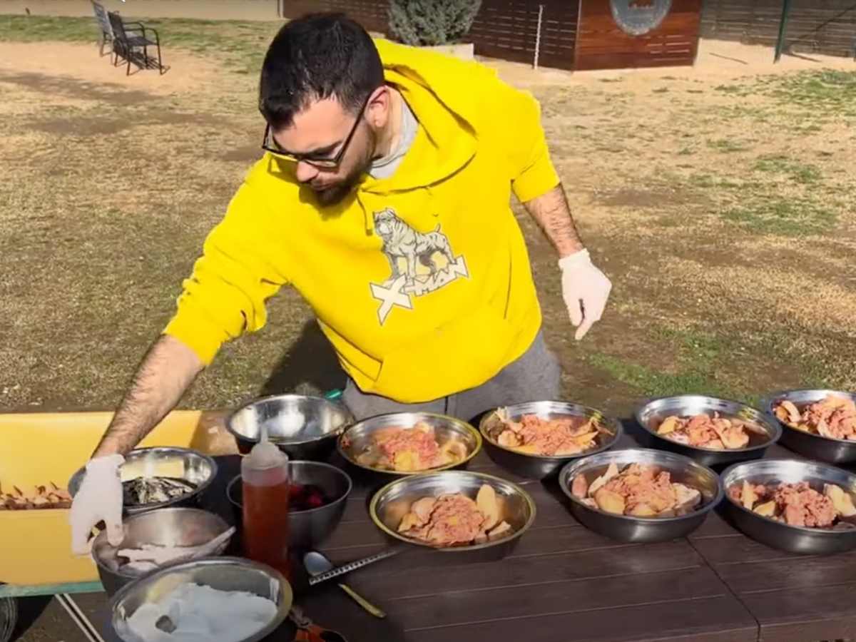 piensos para perros