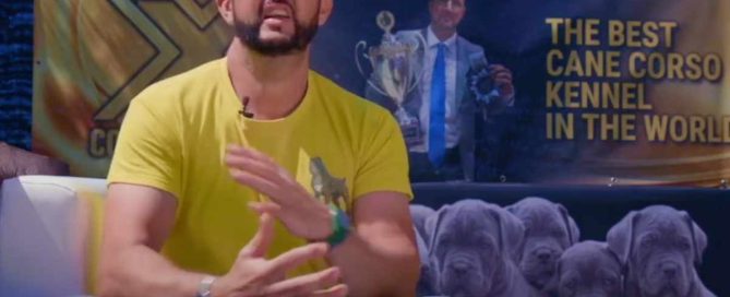 Alimentación perros