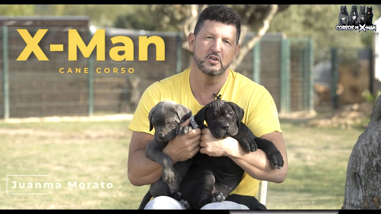 Los mejores criadores de perros en Barcelona