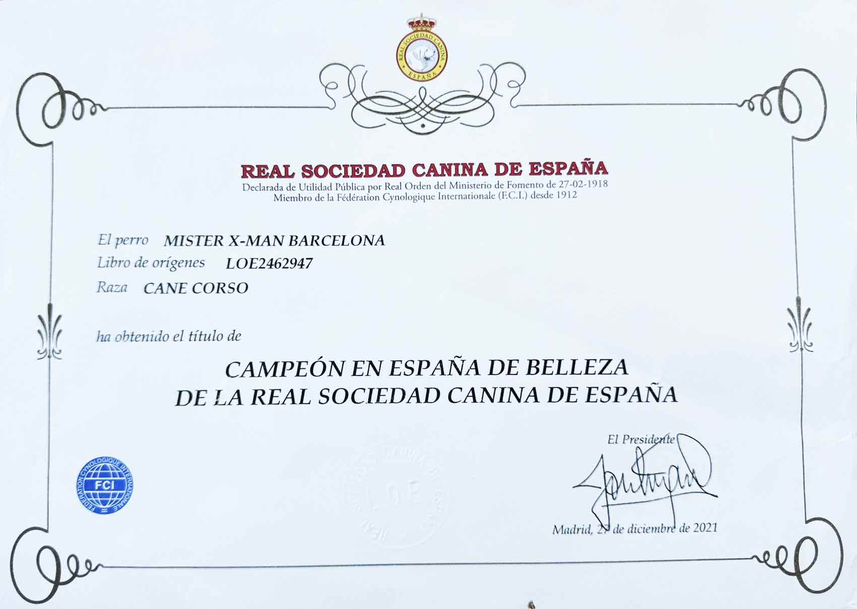 Título Campeón España Belleza RSCE