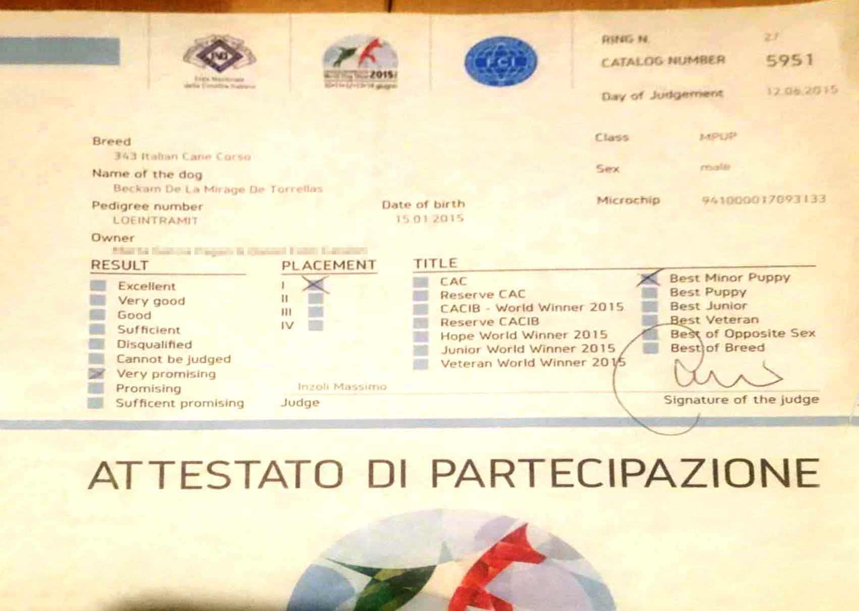 Título Campeón Mundo Belleza