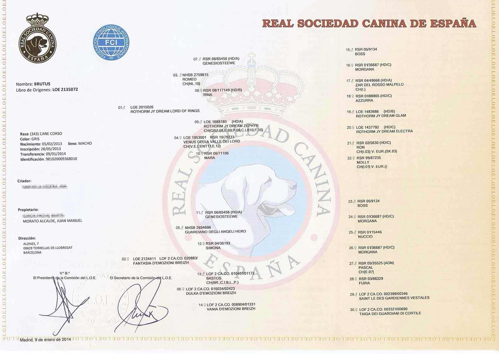 Título Campeón Mundo Perros